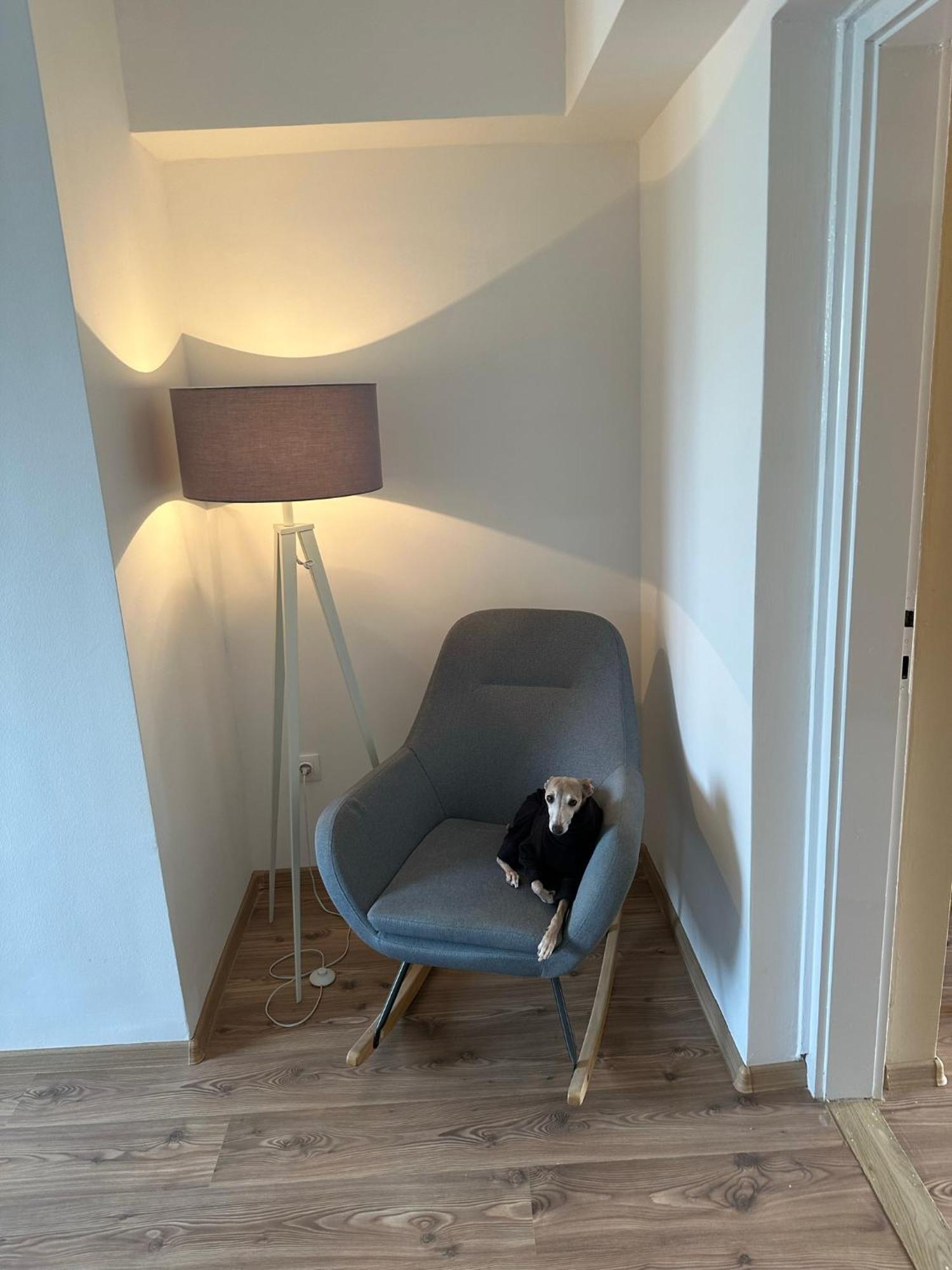 Home Sweet Apartment Xl Бюк Экстерьер фото